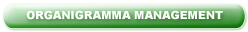 Organigramma Management